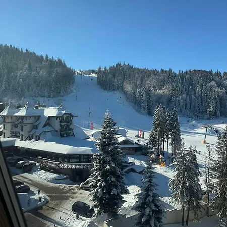 Blue Winter Heaven Apartman *